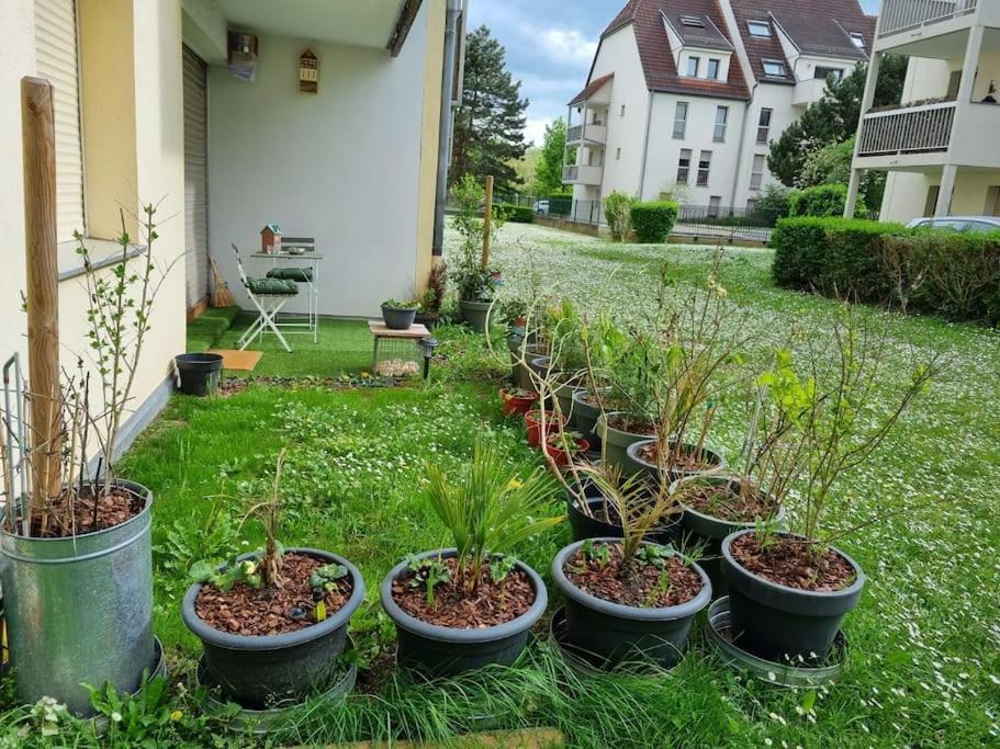 L'Univers Au Blanc. Strasburg Zewnętrze zdjęcie